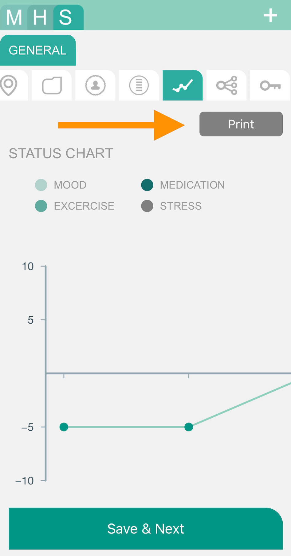 MHS Print feature - Status Chart